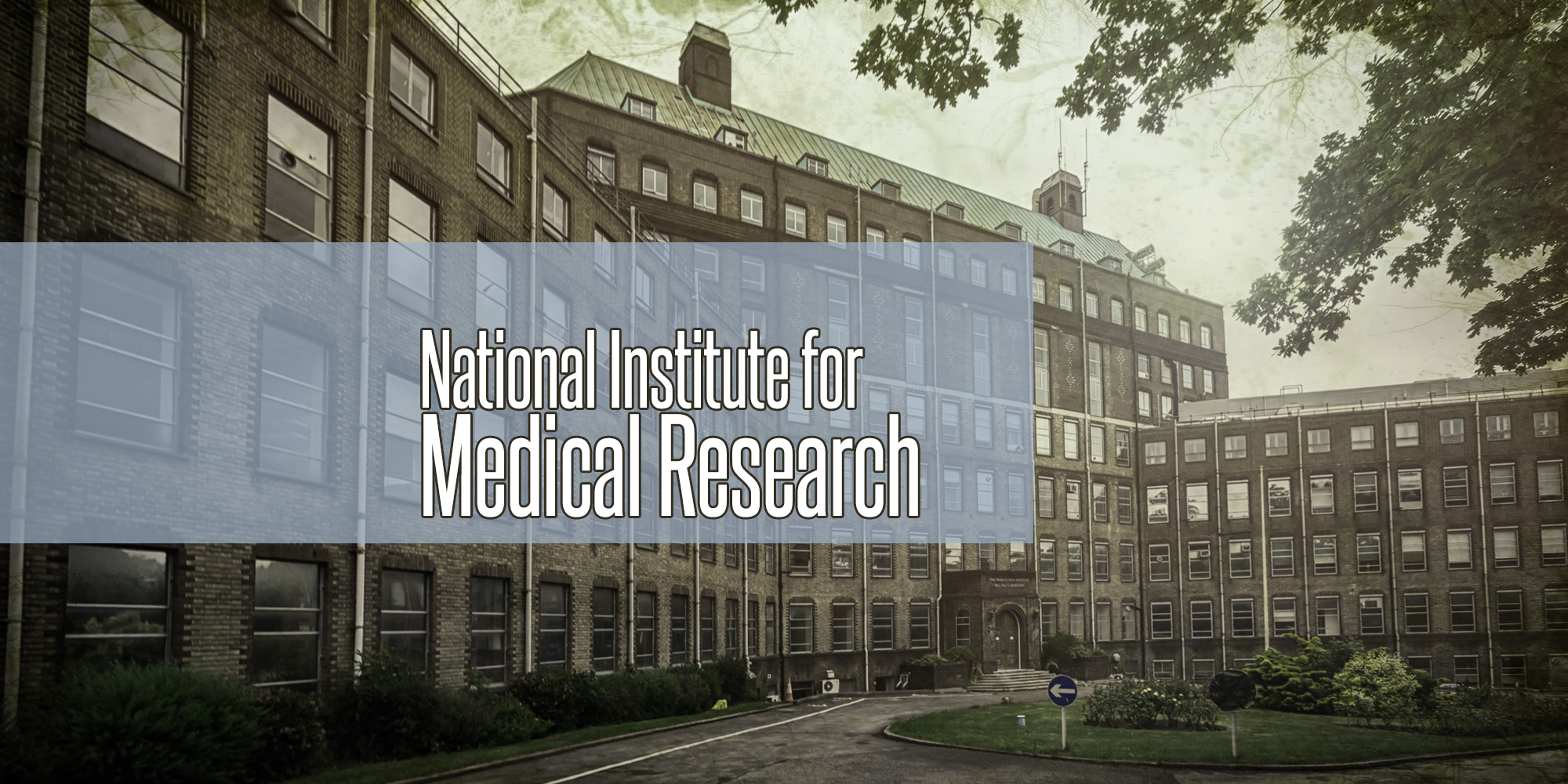 institute for medical research